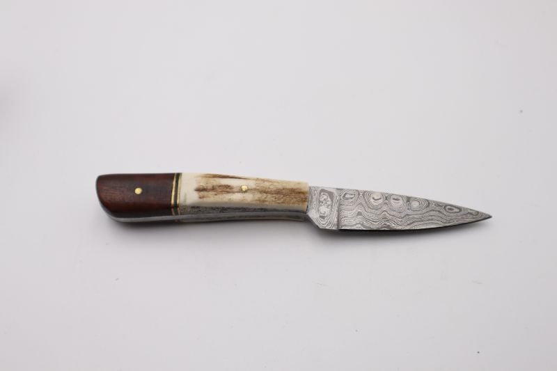 Photo 1 of 7 INCH STAG DAMASCUS WOOD SIDEARM KNIFE NEW 