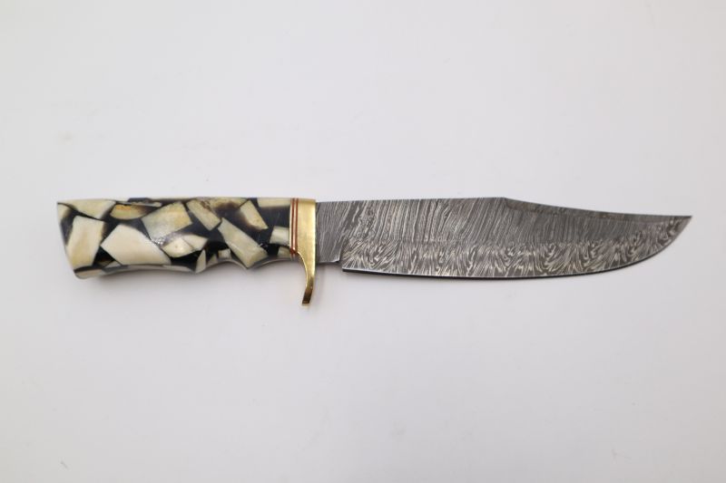 Photo 1 of DAMASCUS HK 13 BONE HORN BOWIE WS  NEW