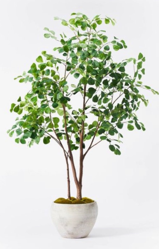 Photo 1 of 257656…6 foot artificial ficus tree in ceramic pot 