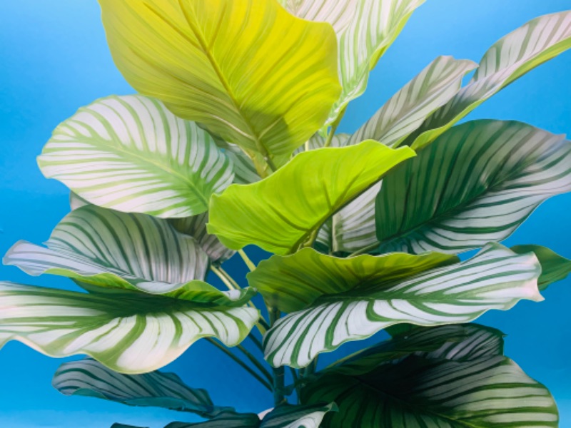 Photo 2 of 257662…approx 3 foot artificial house plant in ceramic pot 