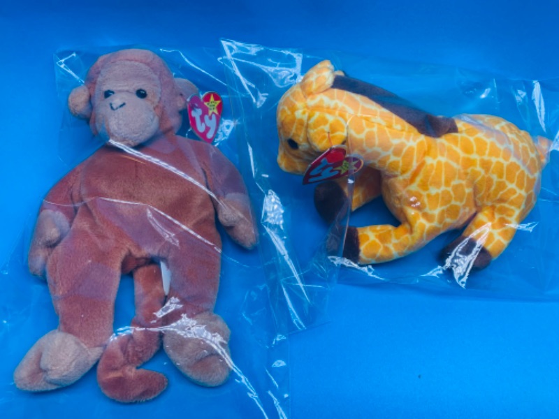 Photo 1 of 258149…  2  TY beanie babies  in plastic bags 