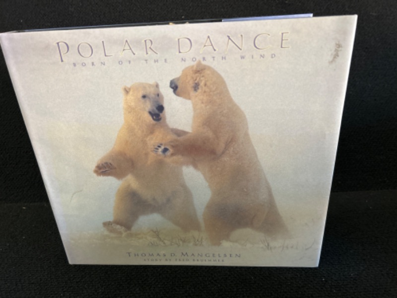 Photo 1 of Large Polar Bear Book Measures 12.5 x 11 inches 