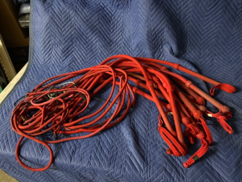 Photo 1 of 12 Red leather whips 