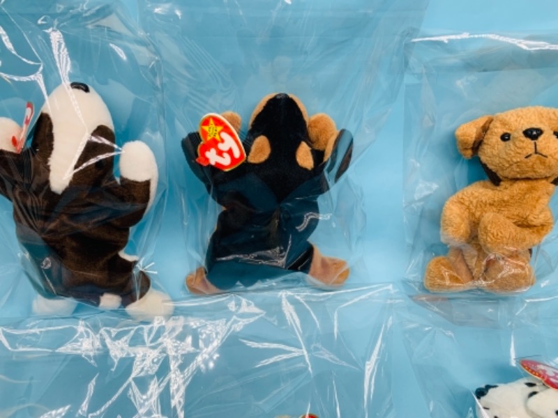 Photo 2 of 277829…6 ty beanie babies doggies in plastic bags 