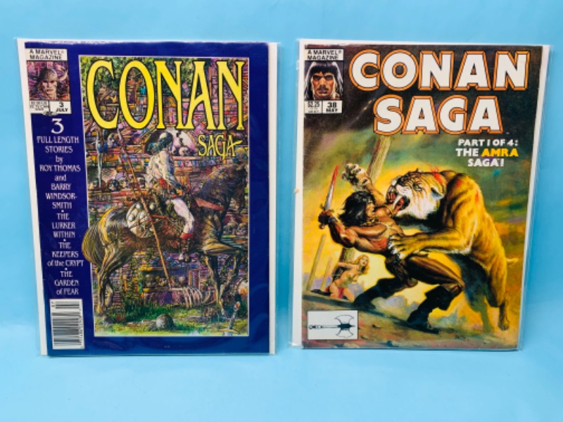 Photo 1 of 278581… 2 vintage The savage sword  of Conan the barbarian marvel magazines in plastic sleeves