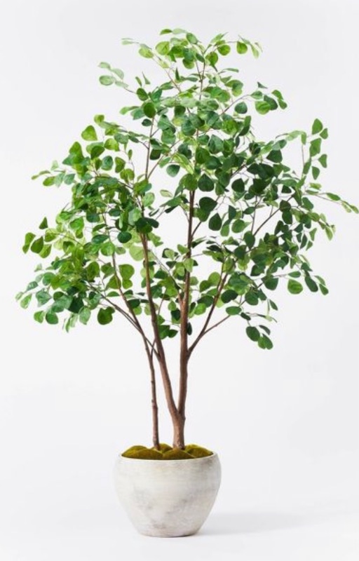 Photo 1 of 282285… 6 foot artificial ficus tree in ceramic pot 