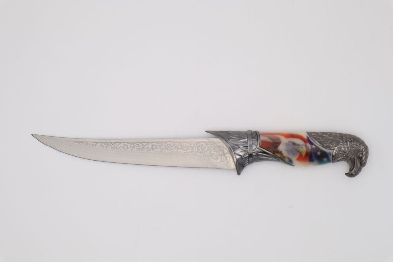 Photo 2 of AMERICAN EAGLE DISPLAY KNIFE WITH AMERICAN EAGLE HANDLE NEW 