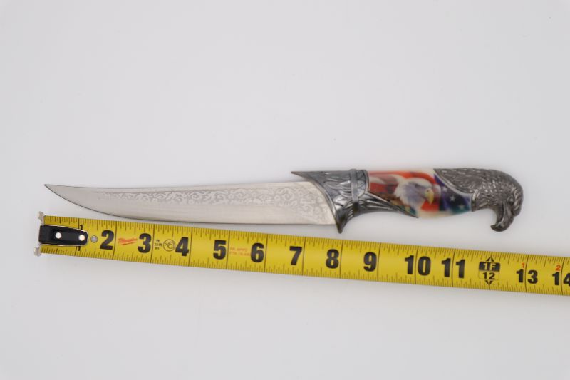 Photo 3 of AMERICAN EAGLE DISPLAY KNIFE WITH AMERICAN EAGLE HANDLE NEW 