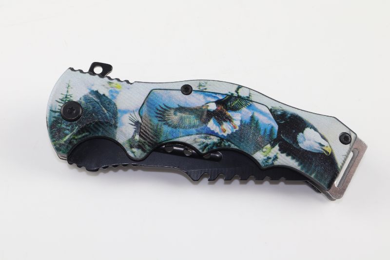 Photo 1 of EAGLES AND NATURE POCKET KNIFE NEW