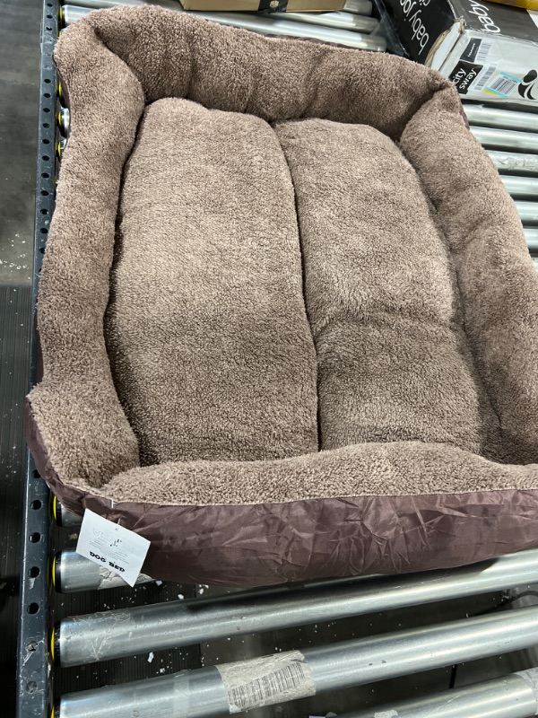 Photo 1 of 38x30 Medium dog bed (brown)