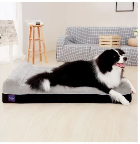 Photo 1 of Dog Bolster
