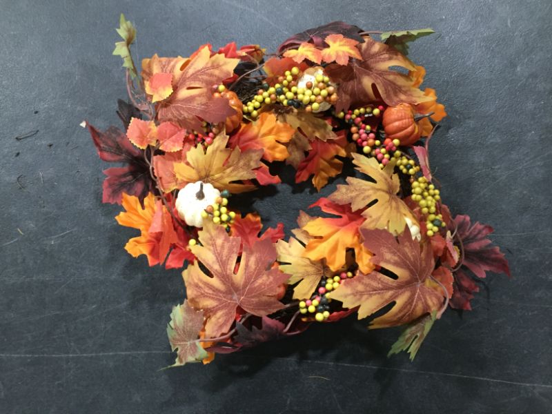 Photo 1 of 13 Inch Thanksgiving Wire Wreath