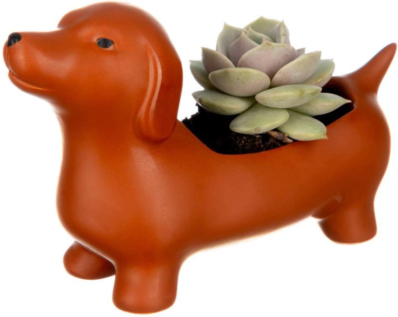 Photo 1 of DOG SUCCULENT PLANTER NEW $19.97