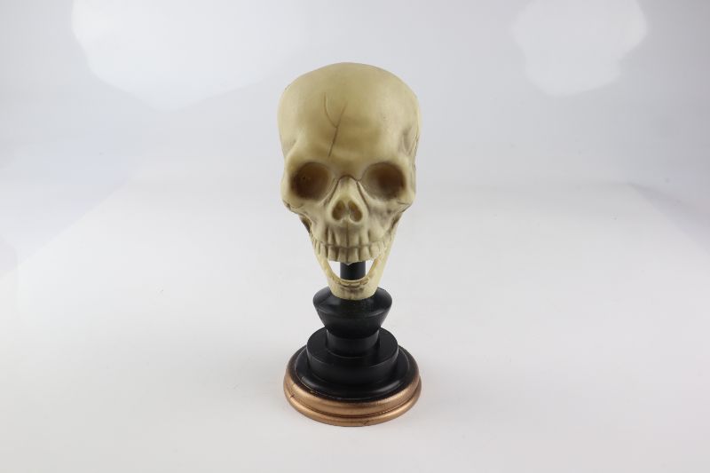 Photo 1 of SKULL STAND DECORATIVE ORANENT NEW $ 9.99