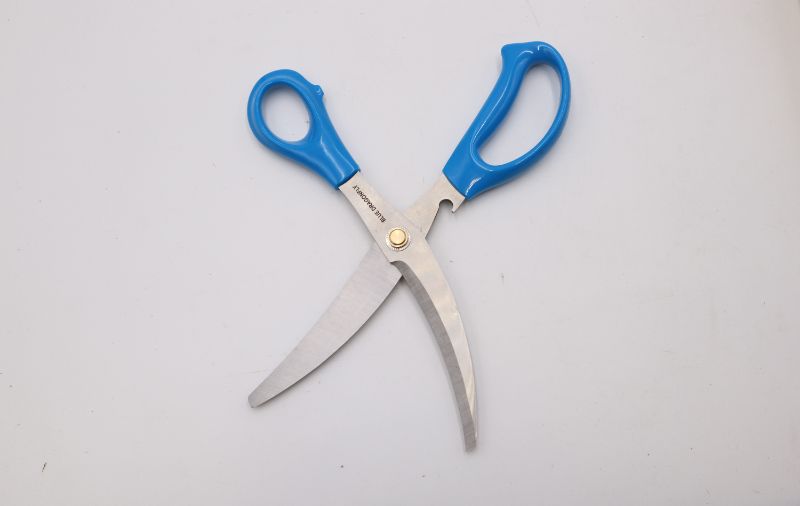 Photo 2 of BLUE DRAGONFLY MULTI PURPOSE KITCHEN SHEARS 24 CM LONG 8.5 CM WIDTH NEW 