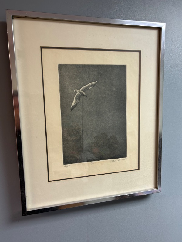 Photo 1 of Signed numbered and framed S. Martin Friedman 1969 Seagull 18.5 x 22.5 inches 