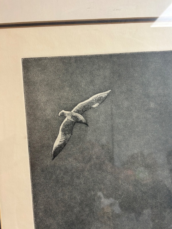 Photo 4 of Signed numbered and framed S. Martin Friedman 1969 Seagull 18.5 x 22.5 inches 