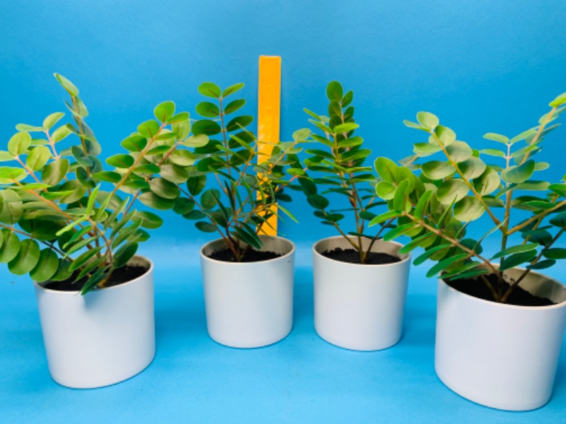 Photo 1 of 494773… 4 small artificial plants in pots 