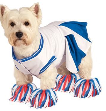 Photo 1 of Deluxe Cheerleader Pet Costume
