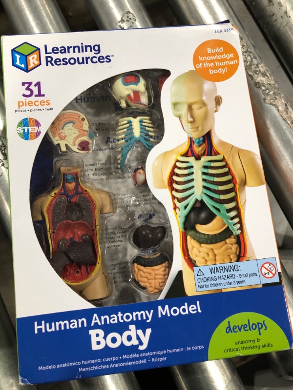 Photo 2 of Human Body Model by Learning Resources, Science for Kids, Human Anatomy for Kids, Human Body Toy, 31-Piece, Ages 8+
