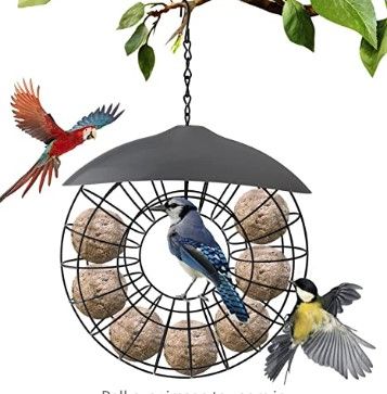 Photo 1 of (X4) Wild Bird Feeder for Outdoor, KETIEE Hummingbird Feeders,Suet Feeder, Hanging Bird Feeder Squirrel Proof, Round Metal Birds Feeders with Plastic Cover for Garden Backyard Yard Decoration
