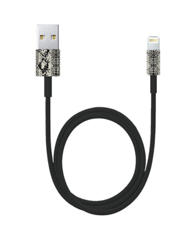 Photo 1 of Gabba Goods Metallic Tip Lightning to USB Cable, 6'