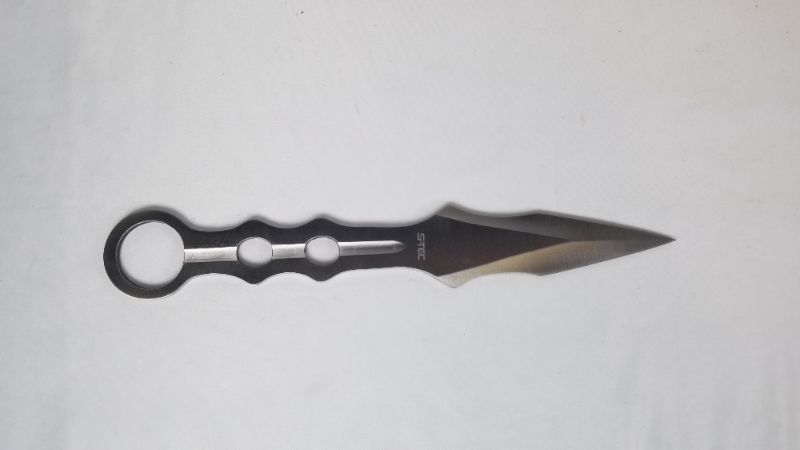 Photo 1 of STEC SILVER DAGGER WITH HARD SHELL CASE NEW