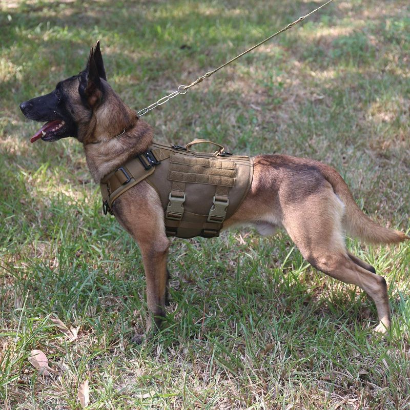 Photo 2 of ICEFANG Tactical Dog Operation Harness with 6X Buckle,Dog Molle Vest with Handle,3/4 Body Coverage,Hook and Loop Panel for ID Patch,No Pulling Front Clip (L (28"-35" Girth), Coyote Brown) New