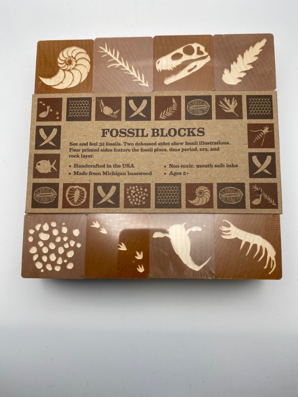 Photo 5 of Uncle Goose Fossil Blocks Game - Made in The USA New