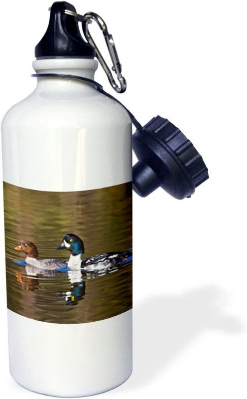 Photo 1 of 3dRose "British Columbia, near Kamloops, Common Goldeneye ducks-CN02 LDI0007 Larry Ditto" Sports Water Bottle, 21 oz, White