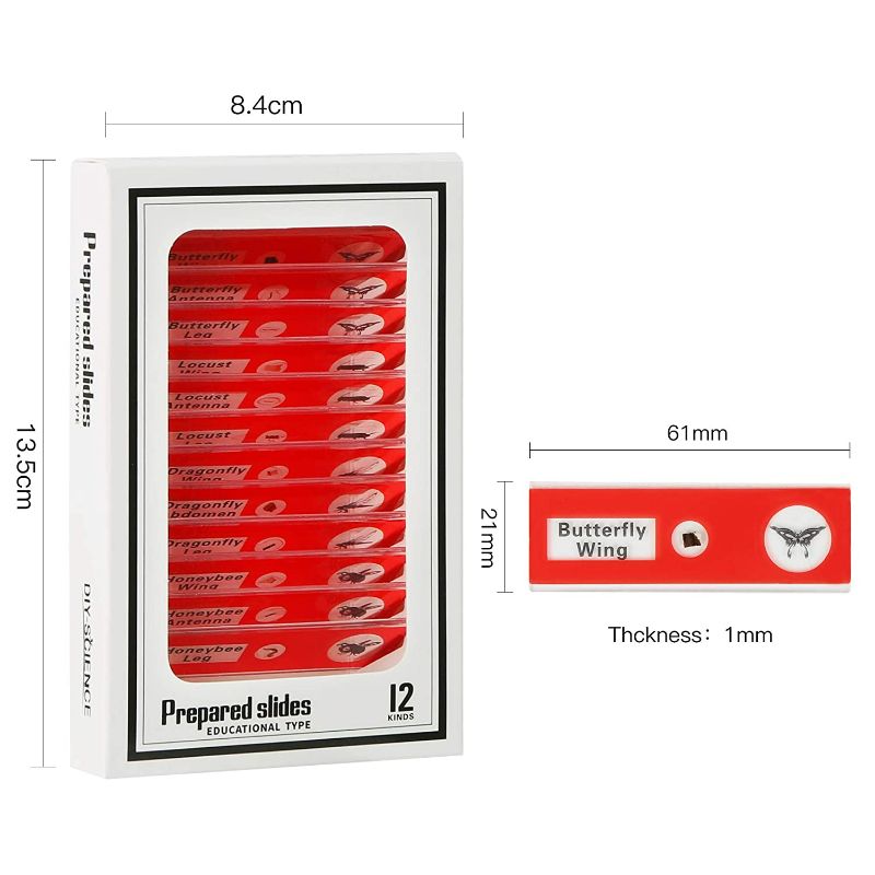 Photo 4 of 48 Prepared Microscope Slides Set of Animals Insects Plants Flowers, Biological Learning Resource Specimens for Kids Beginner Classroom Basic Science Education