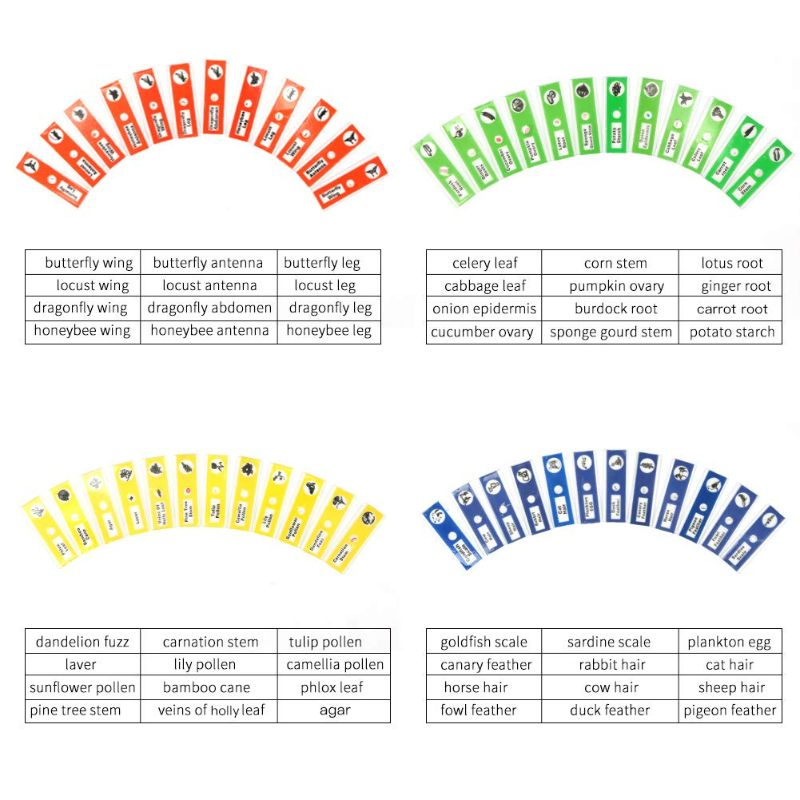 Photo 3 of 48 Prepared Microscope Slides Set of Animals Insects Plants Flowers, Biological Learning Resource Specimens for Kids Beginner Classroom Basic Science Education