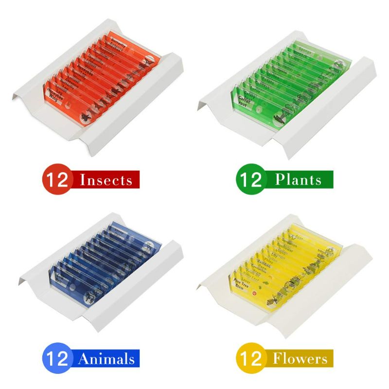 Photo 2 of 48 Prepared Microscope Slides Set of Animals Insects Plants Flowers, Biological Learning Resource Specimens for Kids Beginner Classroom Basic Science Education