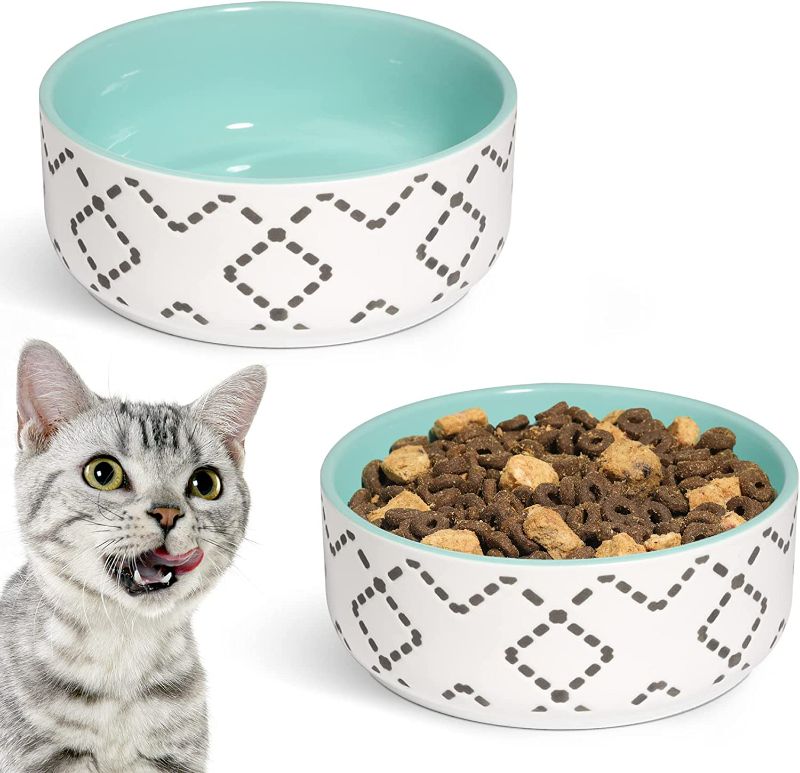 Photo 1 of MSBC Ceramic Cat Bowls(13oz/390ml), Cute Cat Food and Water Feeder Set, Dog Cat Basic Bowl, Small Pet Feeding Dishes for Cat, Kitten, Small Dog, Whisker Stress Free, Dishwasher Safe, Set of 2, Blue New