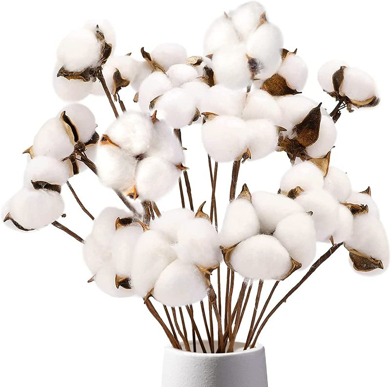 Photo 1 of DomeStar Cotton Stems, Natural Dried Cotton 8 Packs Total 15 Bolls Cotton Sprigs Cotton Blooms Floral Stems for Vase Fillers New