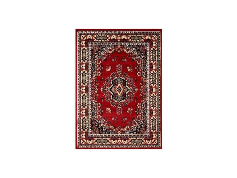 Photo 1 of Home Dynamix 769924368442 9 ft. 2 in. x 12 ft. 5 in. Premium Sakarya Area Border Rug - Claret
