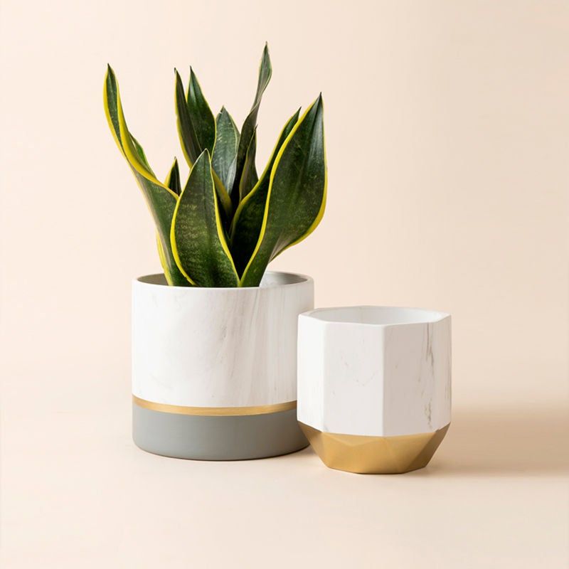 Photo 1 of Aden Grey With Marble Pots - 6.7 + 5.4 Inch