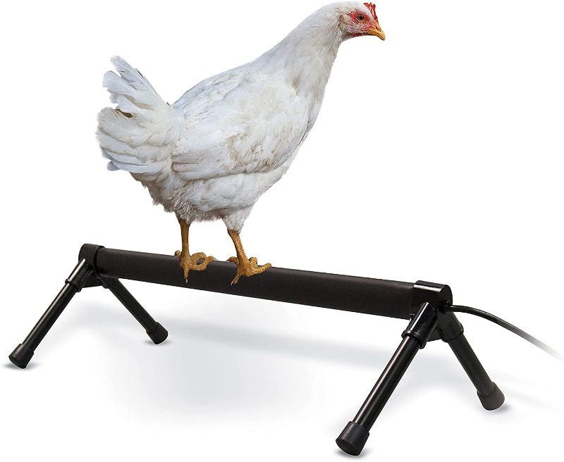 Photo 1 of K&H Pet Products Thermo-Chicken Heated Perch Gray 36" 55W
