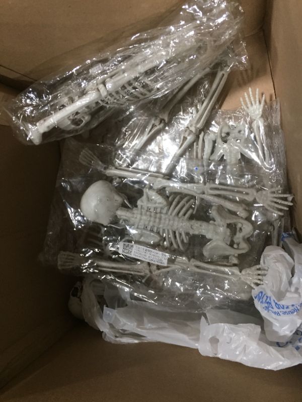 Photo 1 of 4ct skeleton Halloween decoration