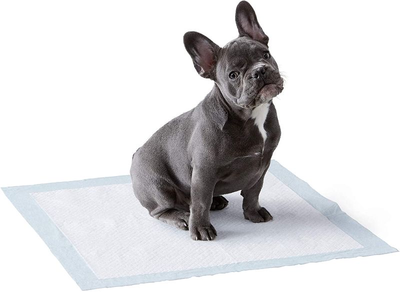 Photo 1 of Amazon Basics Dog and Puppy Pads, Leak-proof 5-Layer Pee Pads with Quick-dry Surface for Potty Training 150 Count
