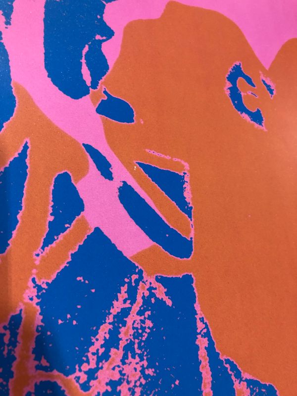 Photo 1 of Andy Warhol Flowers Decorative 36 X 36 Inches