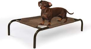 Photo 1 of Coolaroo The Original Cooling Elevated Pet Bed,Medium 