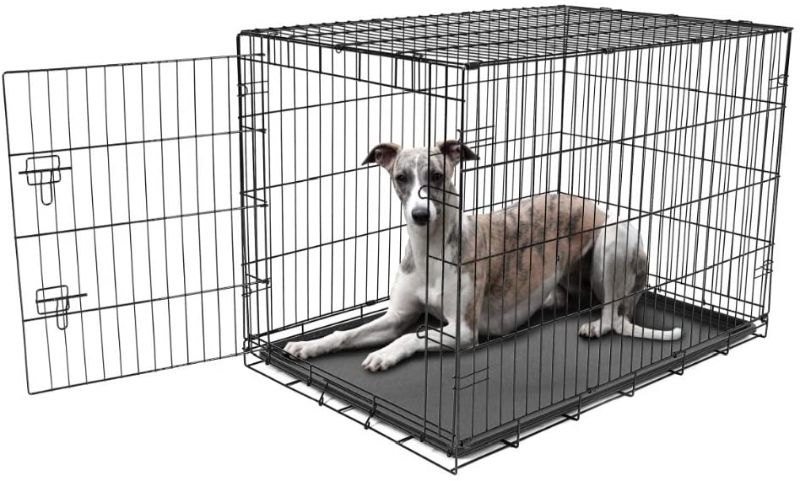 Photo 1 of Carlson Pet Products Secure and Foldable Single Door Metal Dog Crate
