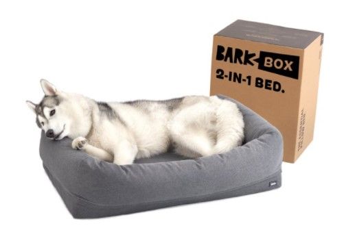 Photo 1 of Barkbox 2-in-1 Memory Foam Cuddler Dog Bed | Plush Orthopedic Joint Relief Crate Lounger or Donut Pillow Bed, Machine Washable + Removable Cover | Waterproof Lining | - LARGE- Gray

