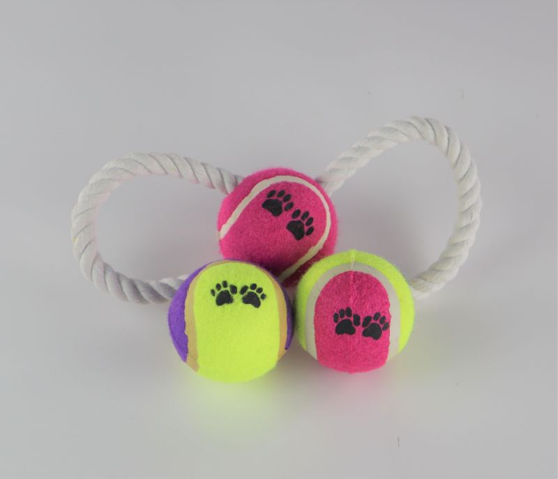 Photo 1 of INTELLIGENT LIVING SOLUTIONS ROPE BALL AND 2 FETCH TENNIS BALL SET NEW $22.79