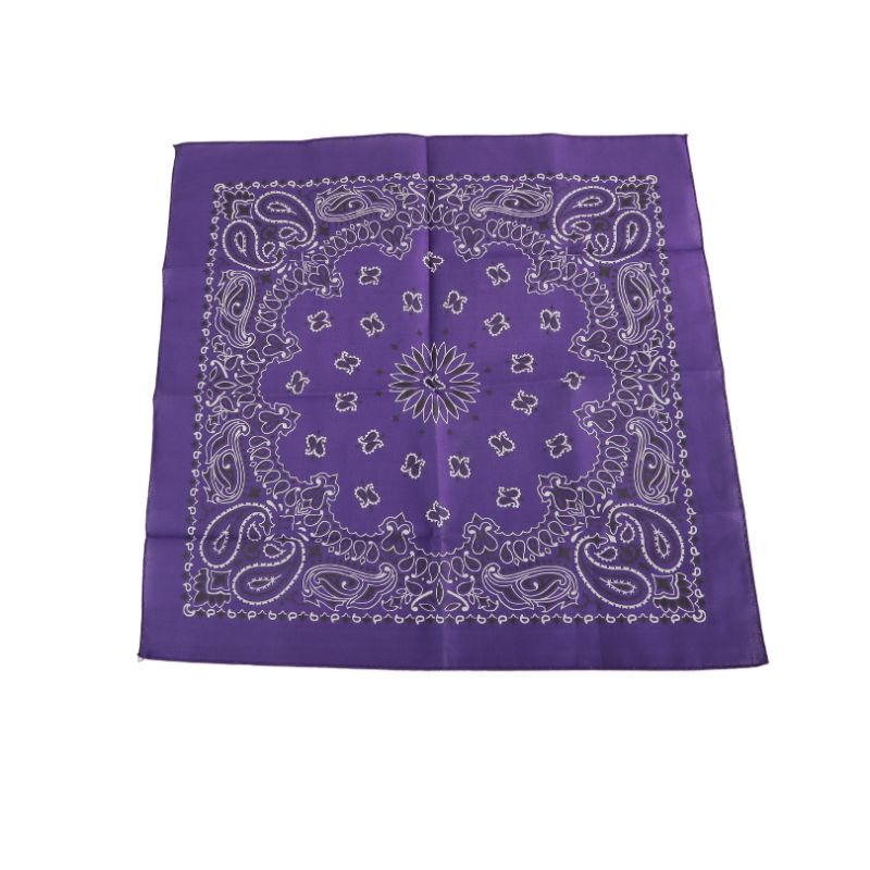 Photo 1 of PURPLE BANDANA NEW $6.64