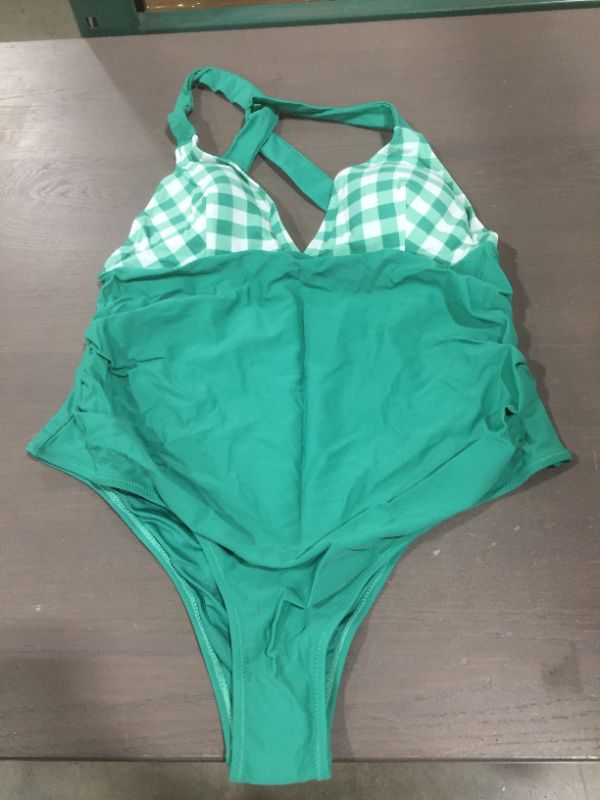 Photo 2 of Daniella Gingham Criss Cross Plus Size One Piece Swimsuit
