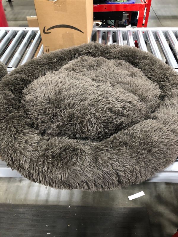 Photo 2 of 35" Diameter round pet bed 