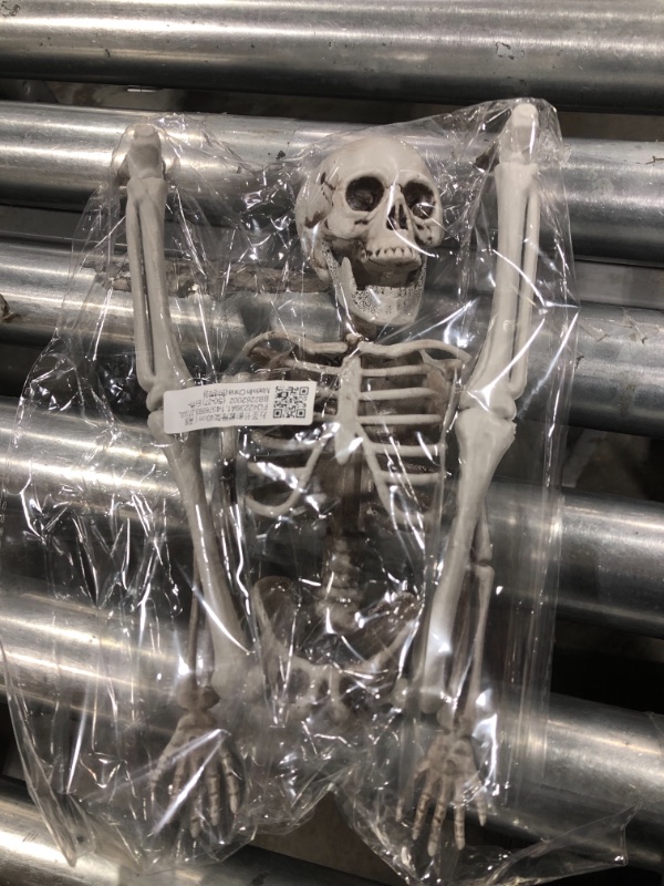 Photo 1 of 16' skeleton 