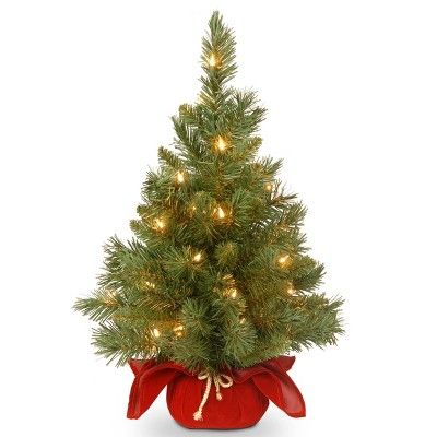 Photo 1 of 2ft National Tree Company Pre-Lit Majestic Spruce Artificial Tree in Burgundy Cloth Bag with 35 Warm White Battery Operated LED Lights
